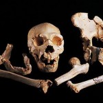 Leg bone gives up oldest human DNA