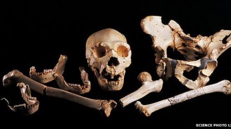 The Pit of Bones has yielded one of the richest assemblages of human bones from this era