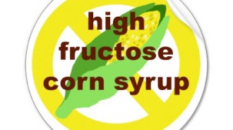 no-high-fructose-corn-syrup