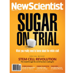 Sugar on trial: What you really need to know