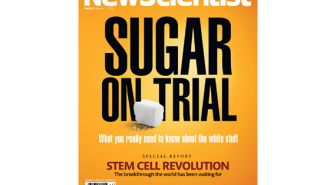 NewScientist--Sugar-on-trial