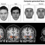 Our brains judge a face's trustworthiness—even when we can't see it