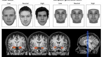 Our brains are able to judge the trustworthiness of a face even when we cannot consciously see it, a team of scientists has found. The researchers quickly showed the study's subjects images of real faces as well as artificially generated faces whose trustworthiness cues could be manipulated (as shown above) while examining the subjects' neurological responses. Credit: Journal of Neuroscience