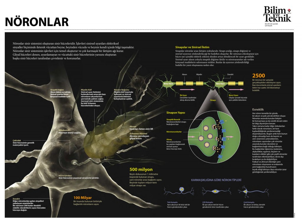 Bilim-ve-Teknik-Dergisi---Ekim-2014-42